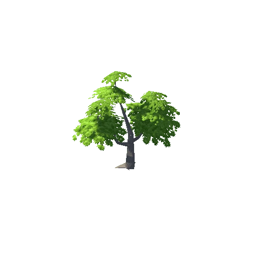 Maple Tree Green Mid 10